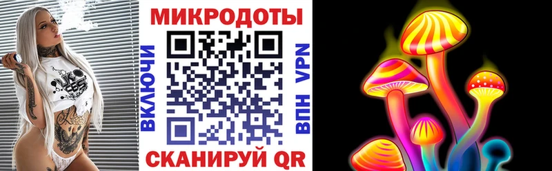 где найти наркотики  Вихоревка  Псилоцибиновые грибы Psilocybe 